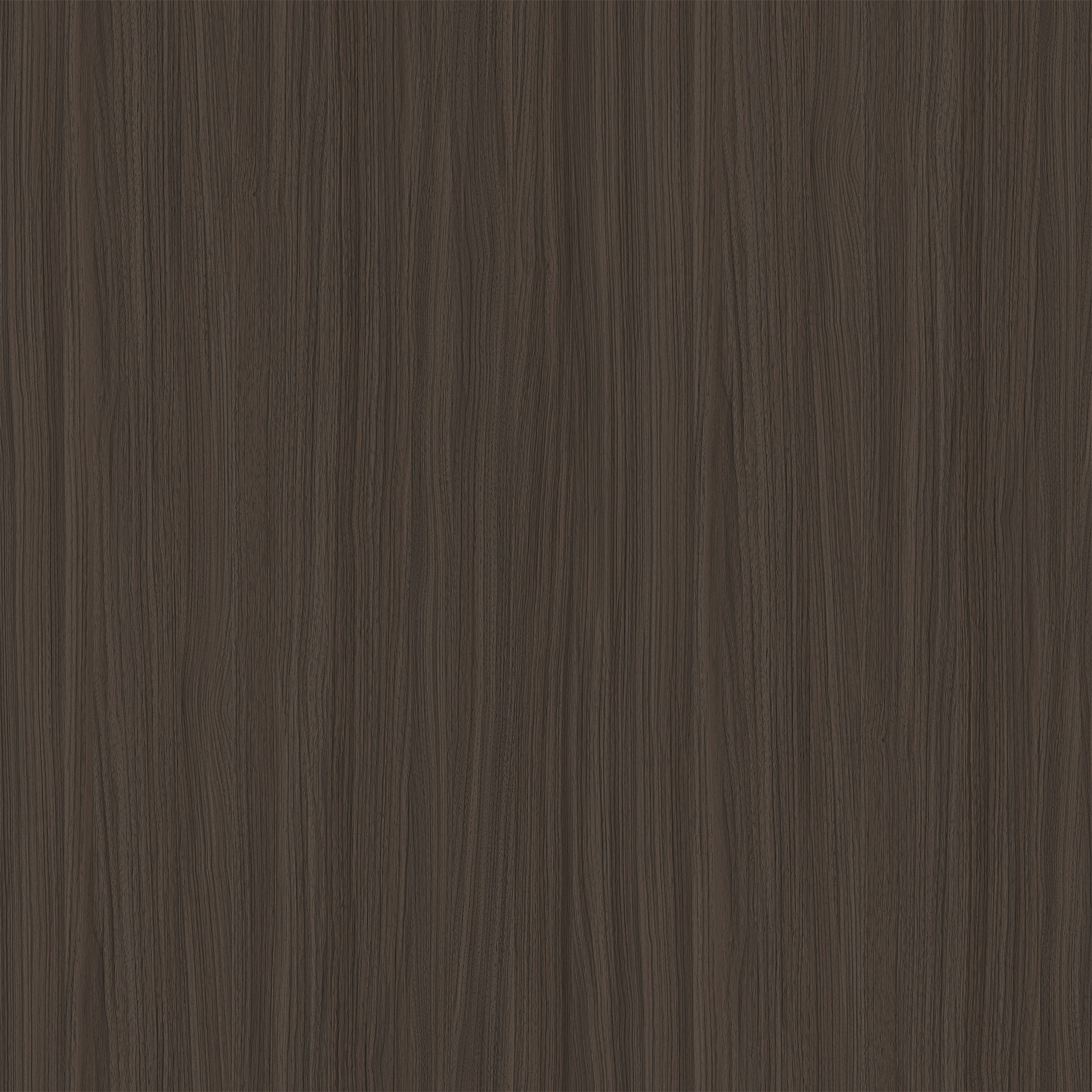 現(xiàn)代深胡桃·門墻柜·